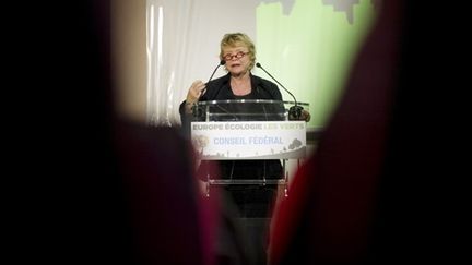 Eva Joly s'exprime lors du conseil fédéral d'Europe Ecologie-les verts le 29 janvier 2011 à Paris (AFP - BERTRAND LANGLOIS)