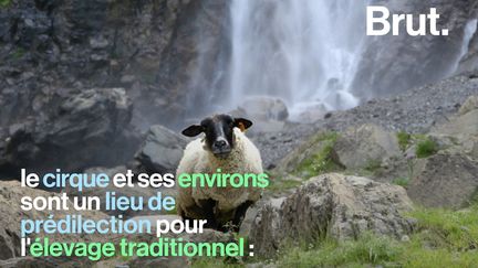 Muraille de calcaire, gouffre géant débouchant sur un immense réseau de galeries souterraines... Voici trois paysages incroyables à découvrir en France.