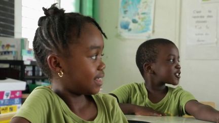 Guadeloupe : renouer avec l'apprentissage du Créole