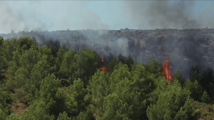 Incendies : Météo-France dévoile sa météo des forêts (France 3)