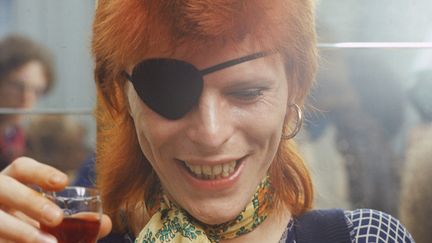 "Bowie était très professionnel mais il avait surtout un immense charisme. Son entrée dans une pièce imposait naturellement le silence. A l'instar de Mick Jagger ou Bob Marley, il fallait vraiment être un piètre photographe pour ne pas faire une bonne photo de lui."
 (Gijsbert Hanekroot)