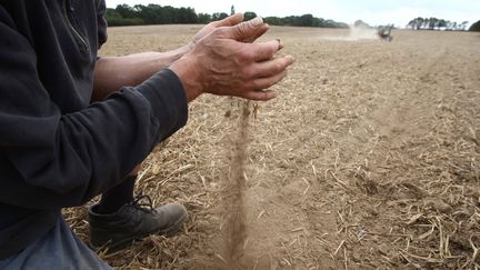 La France a connu son mois d'octobre le plus sec depuis 30 ans