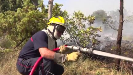 Des incendies se sont déclarés dans la Drôme, samedi 18 juin. La veille, près de dix feux ont été éteints en Ardèche. (franceinfo)