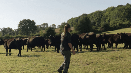 Des agriculteurs se regroupent pour embaucher (France 2)