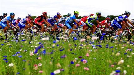 Les coureurs à travers champs (JOEL SAGET / AFP)