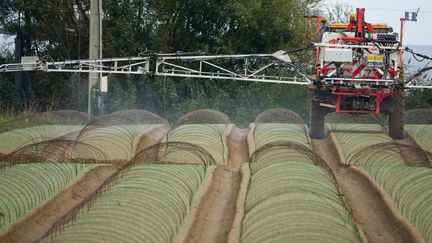 Un agriculteur pulvérise un produit phytosanitaire sur ses cultures. (FRANCK DUBRAY / MAXPPP)