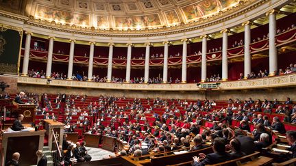 &nbsp; (L'hémicycle de l'Assemblée nationale©MAXPPP)