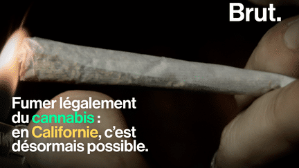 Brut : cannabis Californie