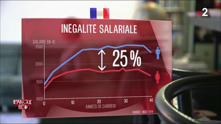 L'ANGLE ECO / FRANCE 2 (CAPTURE ECRAN / L'ANGLE ECO / FRANCE 2)