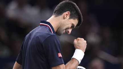 Dominateur à Bercy, Novak Djokovic a ajouté une 47e ligne à son palmarès, déjà bien fourni.  (FRANCK FIFE / AFP)