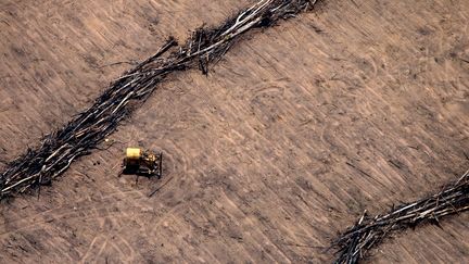 Un tracteur sur un champ de soja, dans l'Etat du Mato Grosso, dans le centre du Brésil, le 8 décembre 2008.&nbsp; (RODRIGO BALEIA / AE / AFP)