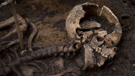 Un squelette découvert dans le cimetière de l'hôpital de Bedlam, à Londres, datant des 16e et 17e siècles.
 ( Matt Dunham/AP/SIPA )