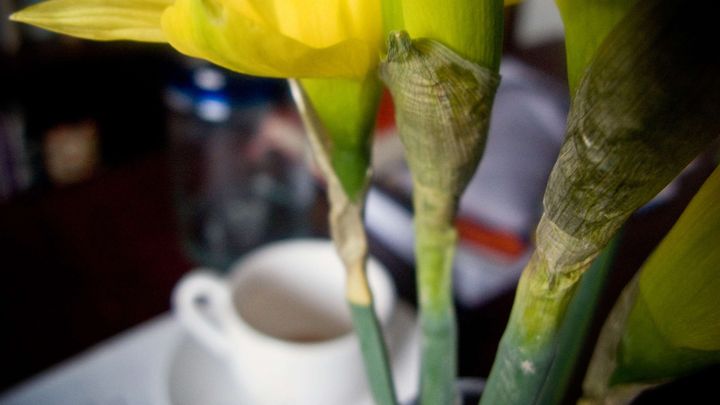 Un caf&eacute;, des fleurs, what else ? (SUPERSTOCK / SIPA)