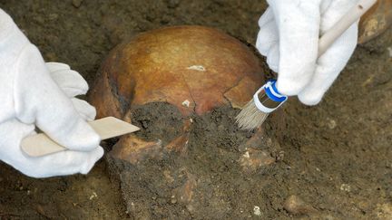 Un arch&eacute;ologue examine un cr&acirc;ne d&eacute;couvert sur le lieu de la bataille de L&uuml;tzen &agrave; Halle (Allemagne), le 23mars 2012. (PETER ENDIG / EPA / MAXPPP)