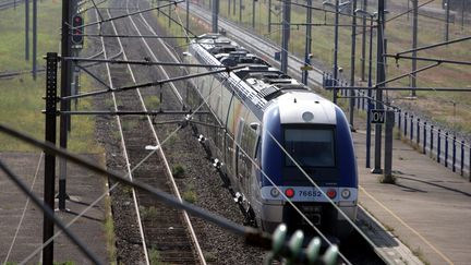 Circulation d'un TER entre Strasbourg et Sélestat. (Photo d'illustration). (THIERRY GACHON / MAXPPP)