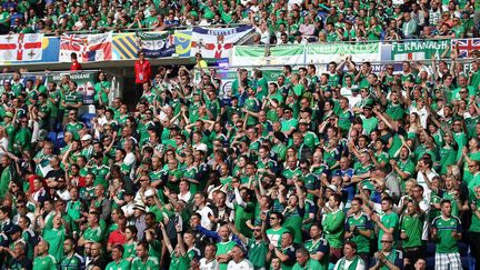 Euro : la coupe des supporters pour l'Irlande