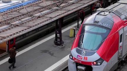 Transports : un projet de RER peut-il être envisagé à Toulouse ?