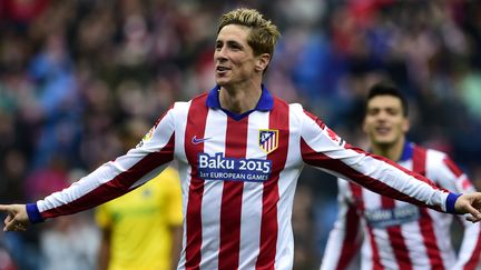 Fernando Torres (JAVIER SORIANO / AFP)