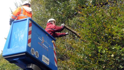 Des techniciens d'ERDF &eacute;laguent des arbres apr&egrave;s le passage de la temp&ecirc;te Christian, le 28 octobre 2013, &agrave; La Roche-Maurice (Finist&egrave;re). (FRED TANNEAU / AFP)