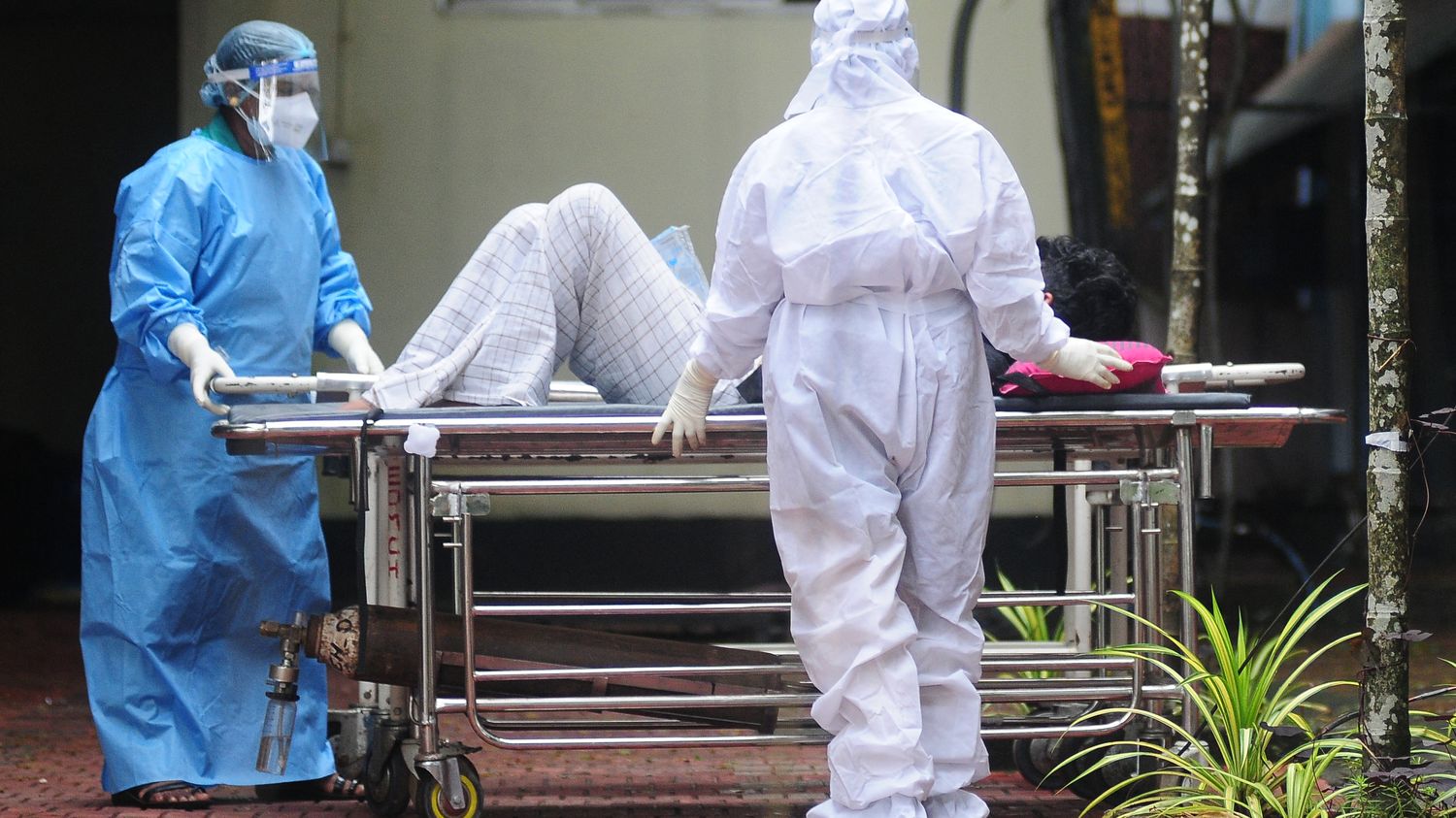 After the death of a teenager infected with the Nipah virus, fears of an epidemic are growing among Indian authorities