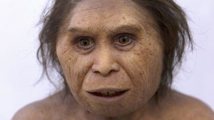 The Neanderthal exhibition at the Pierres Vives media library in Montpellier, April 23, 2019. (GUILLAUME BONNEFONT / MAXPPP)