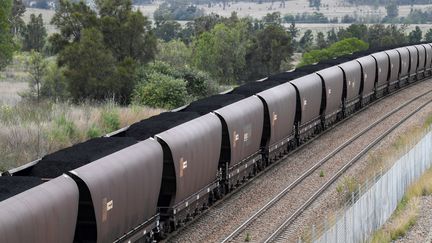 Un train transportant du charbon près de Singleton (Australie), le 4 novembre 2021. (SAEED KHAN / AFP)