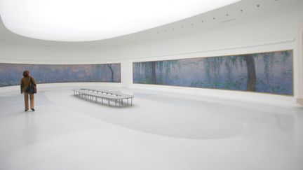 Une femme regarde les Nympheas de Claude Monet au musée de l'Orangerie à Paris, en 2006. (JACQUES DEMARTHON / AFP)