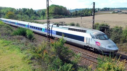 Un TGV sur la ligne Bordeaux-Paris, en 2008. (MAXPPP)