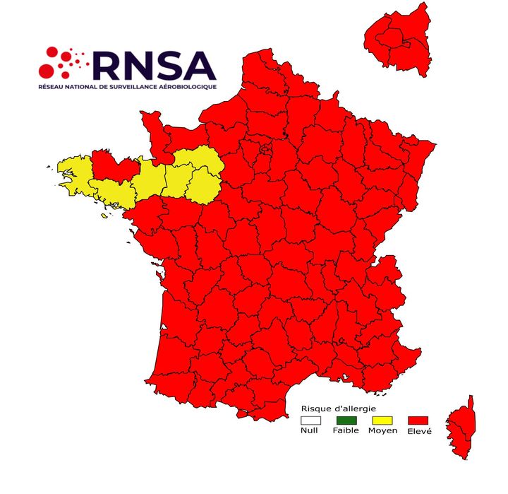 90 départements en alerte rouge au risque d'allergie, le 26 mai 2023. (RNSA)