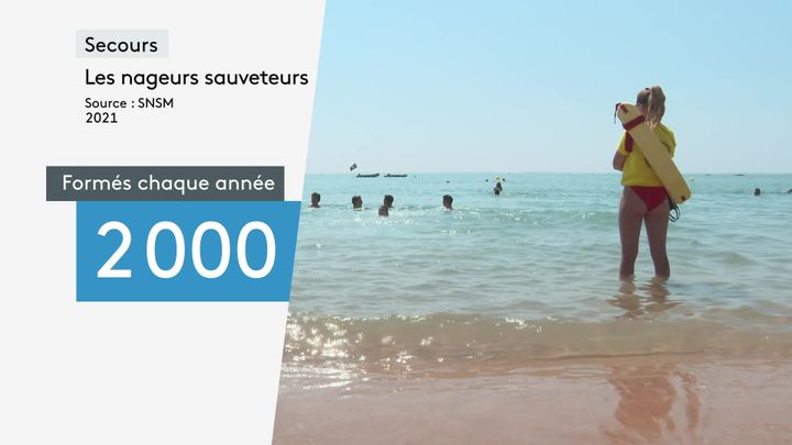 2000 lifeguard swimmers are trained each year by the SNSN.   (FRANCEINFO)