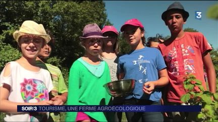 agroecologie