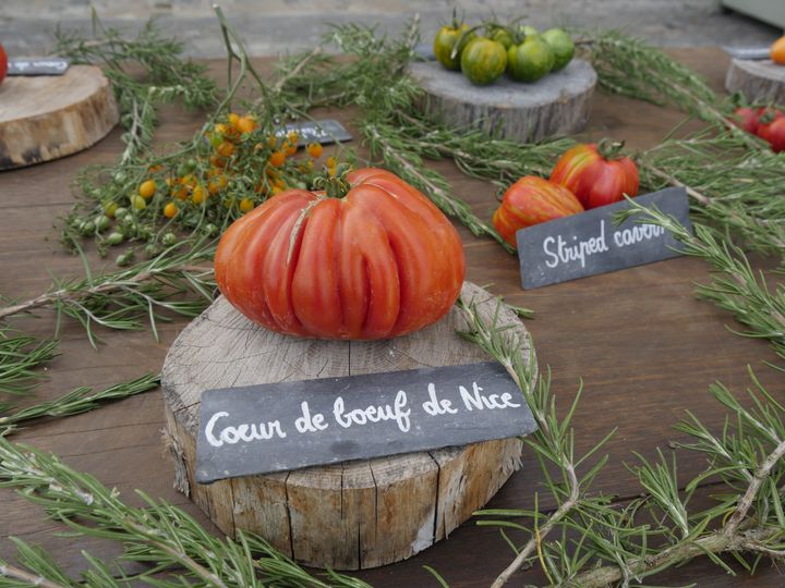 Quelques-unes des 750 variétés&nbsp;cultivées au Conservatoire de la tomate, à la Bourdaisière, en Touraine. (ISABELLE MORAND / RADIO FRANCE / FRANCE INFO)