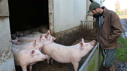 Porc : le succès du bio