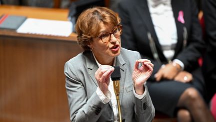 La ministre de l'Agriculture Annie Genevard lors d'une séance de questions au gouvernement à l'Assemblée nationale, le 23 octobre 2024. (BERTRAND GUAY / AFP)