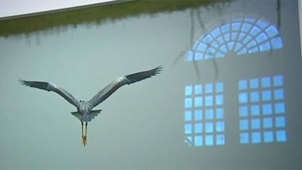 Une photo d'Ahae à l'Orangerie de Versailles, en mars 2013
 (France Télévisions / Culturebox / capture d&#039;écran)