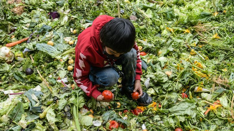 Unicef ​​estimates that 160 million children worldwide are involved in child labour.  Illustrative image.  (HELP MARTINEZ / EYEPIX GROUPMAXPPP)