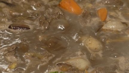 Gastronomie : redécouvrez la recette de l'indémodable bœuf bourguignon (France 2)