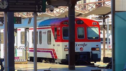 Un train de la compagnie espagnole Renfe (illustration). (PATRICK LEFEVRE / MAXPPP)