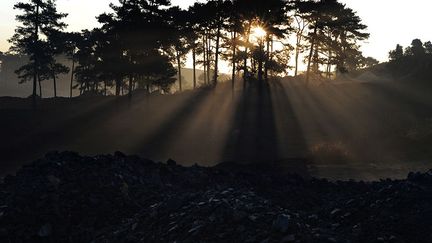 L’Etat du Meghalaya, situé à la frontière avec le Bangladesh, tire l’une de ses principales ressources de ses mines sauvages de charbon.

Il y en aurait de 5 à 15.000, selon les sources. (AFP PHOTO/ Roberto Schmidt)