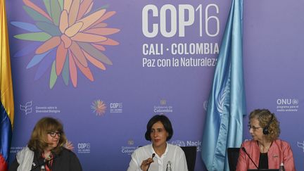 La 16 édition de la COP sur la biodiversité, à Cali (Colombie), octobre 2024 (JOAQUIN SARMIENTO / AFP)