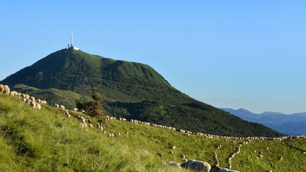 Le mythique puy de Dôme fait son grand retour au programme du Tour de France 2023, pas moins de 35 ans après sa dernière ascension sur les routes de la Grande Boucle. (MAXPPP)