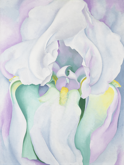 Virginia Museum of Fine Arts / Georgia O’Keeffe Museum / ADAGP, Paris 2015
