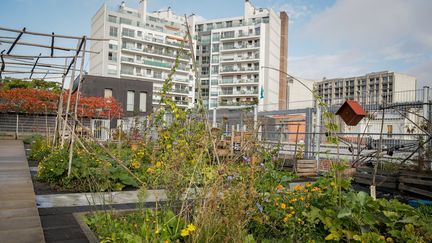 "Le Jardin sur le toit", dans le 20e arrondissement de Paris.&nbsp; (MAXPPP)