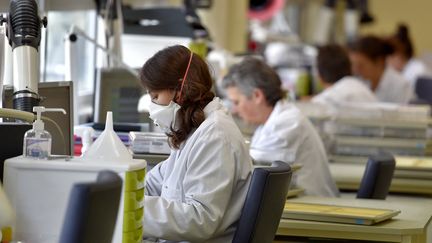 Des femmes travaillent sur des semences dans un laboratoire à Beaucouze, le 29 septembre 2017. Photo d'illustration. (LOIC VENANCE / AFP)