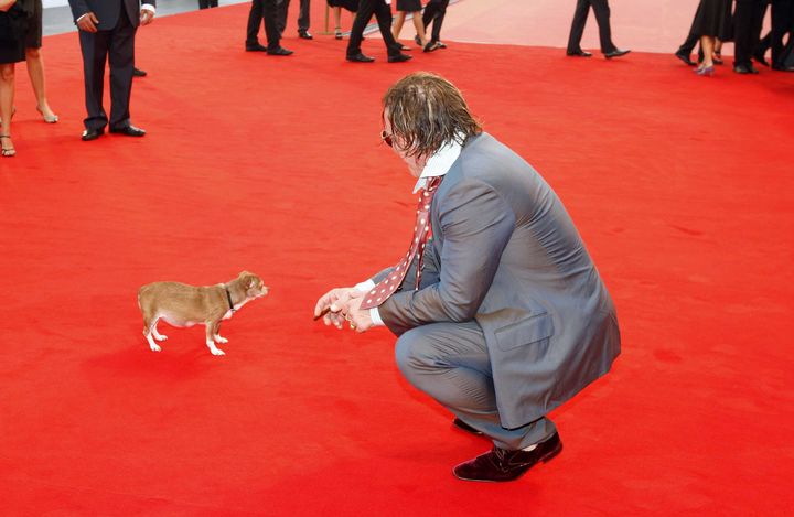 Mickey Rourke et sa chienne Loki sur le tapis rouge du 65e festival international de Venise (Italie), le 6 septembre 2008. (SICHOV / SIPA)