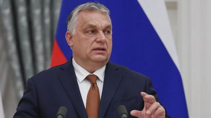 Viktor Orban, le 1er février 2022, à Moscou. (YURI KOCHETKOV / POOL)