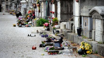 Des tombes profan&eacute;es dans le cimeti&egrave;re Saint-Roch de Castres (Tarn), le 15 avril 2015. (REMY GABALDA / AFP)