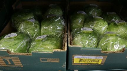 Deux des principales chaînes de supermarchés britanniques, Tesco et Morissons, rationnent les clients en laitues iceberg en provenance d'Espagne pour faire face à une pénurie. (DANIEL LEAL-OLIVAS / AFP)