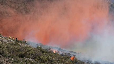 Le feu s'est déclaré Route Napoléon à Saint-Vallier-de-Thiey (Alpes-Maritimes) le 10 mars 2023. (SDIS 06 C Sartor)