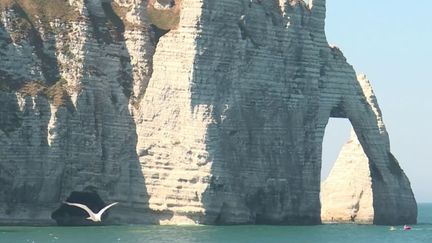 Tourisme : Étretat, victime de son succès, tente de limiter la surfréquentation (France 2)